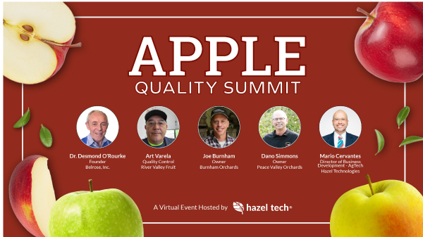 Hazel Tech Quality Summit Final Banner