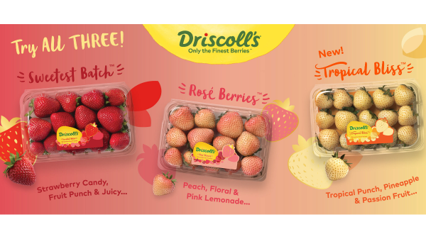 driscoll flavor brands