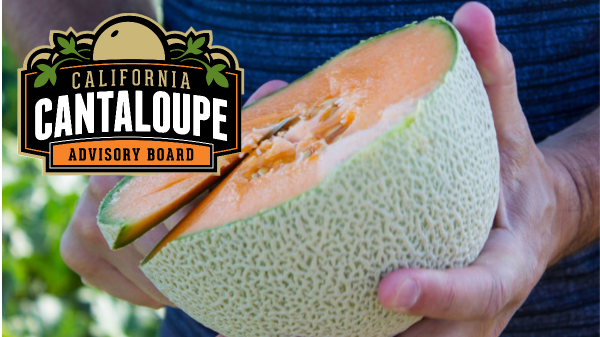 CA Cantaloupe Advisory Board- Selecting the Perfect Cantaloupe