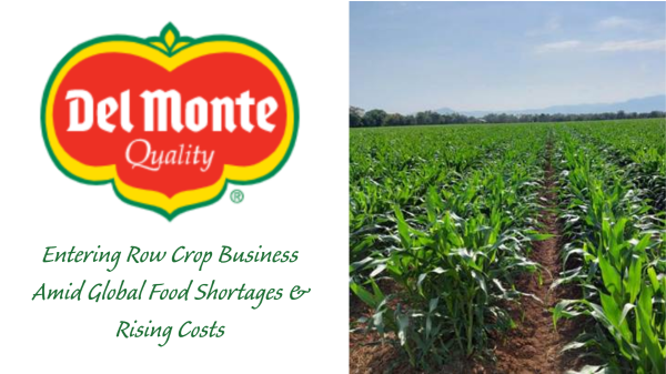 Del Monte Fresh Row Crop Final Banner