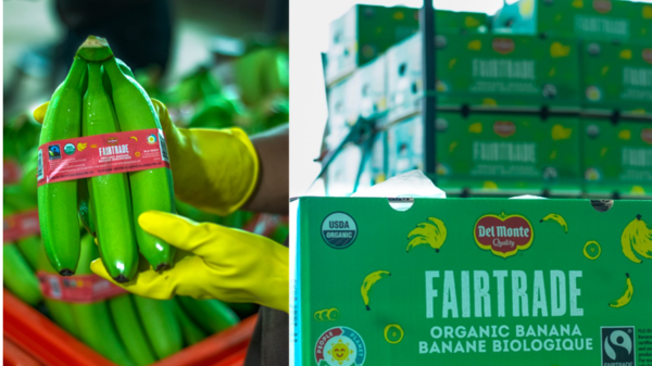 del monte fair trade organic bananas