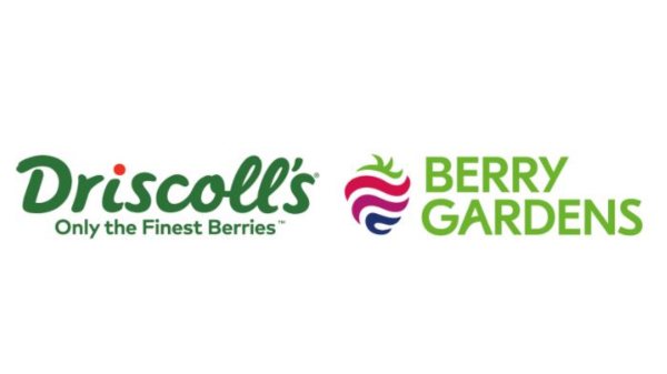 driscolls berry gardens logos