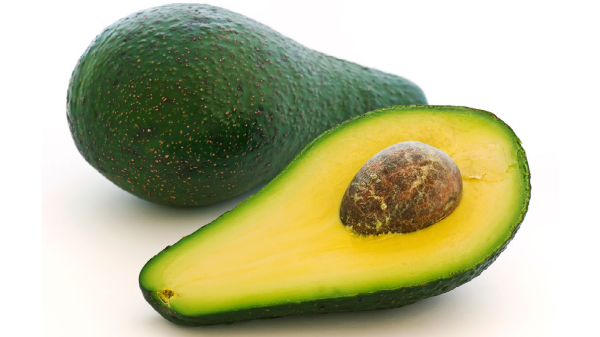 fuerte avocado