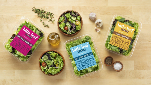 little leaf farms salads