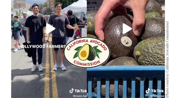 CALIFORNIA AVOCADOS ENGAGE ON SOCIAL