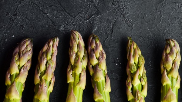 asparagus mechanical harvest