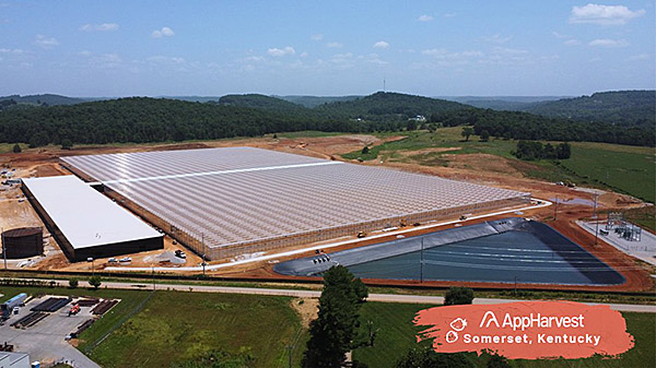 appharvest somerset kentucky indoor berry farm