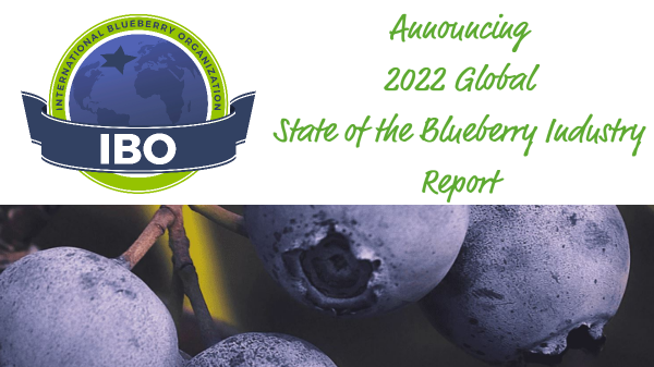 IBO State of the Blueberry Industry Report available