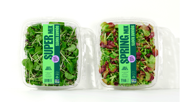 square roots salads