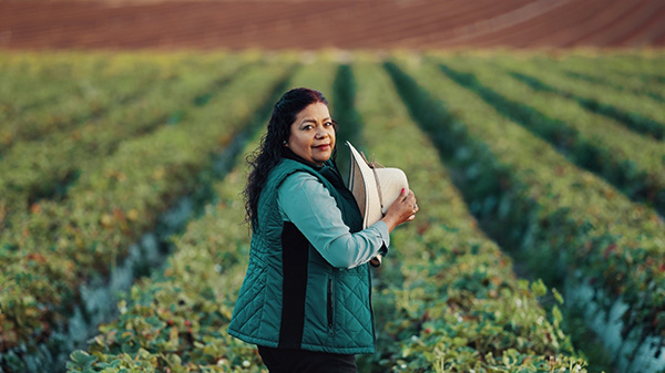 Daily Harvest Domitila Tapia