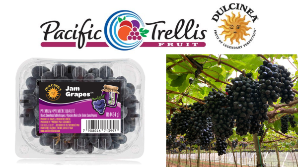 Pacific Trellis Fruit Final Banner