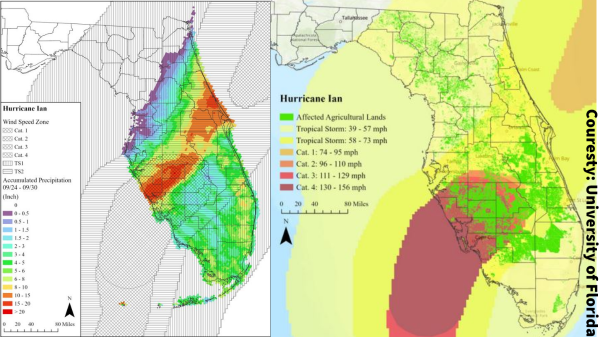 U of FL Hurricane Ian