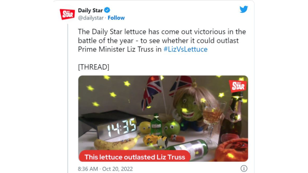 daily star truss lettuce