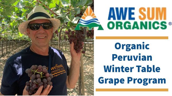 Awe Sum Organics’ Winter Organic Table Grapes will Arrive Soon!