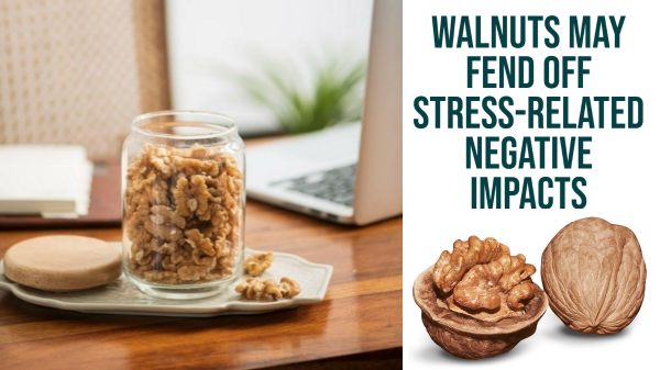 New Study shows Walnuts May Fend Off Stress-Related Negative Impacts