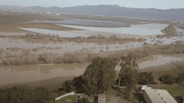 markon salinas flooding 1-16-23