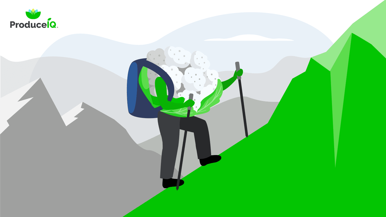 Hiking-cauliflower