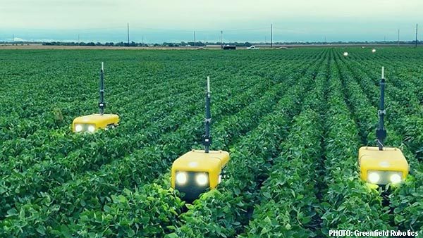 chipotle ag robots