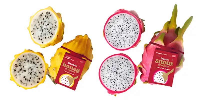 friedas dragon fruit LNY